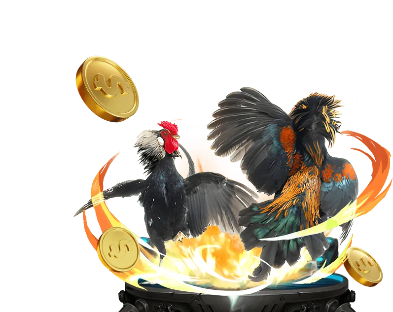 Luật chơi đá gà trực tuyến tại u888