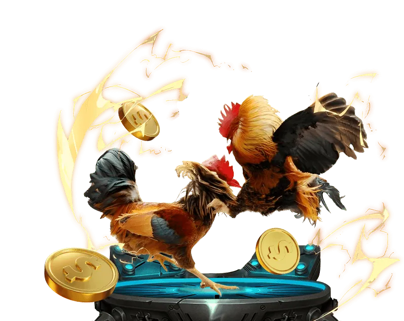 Trường gà trực tuyến tại u888